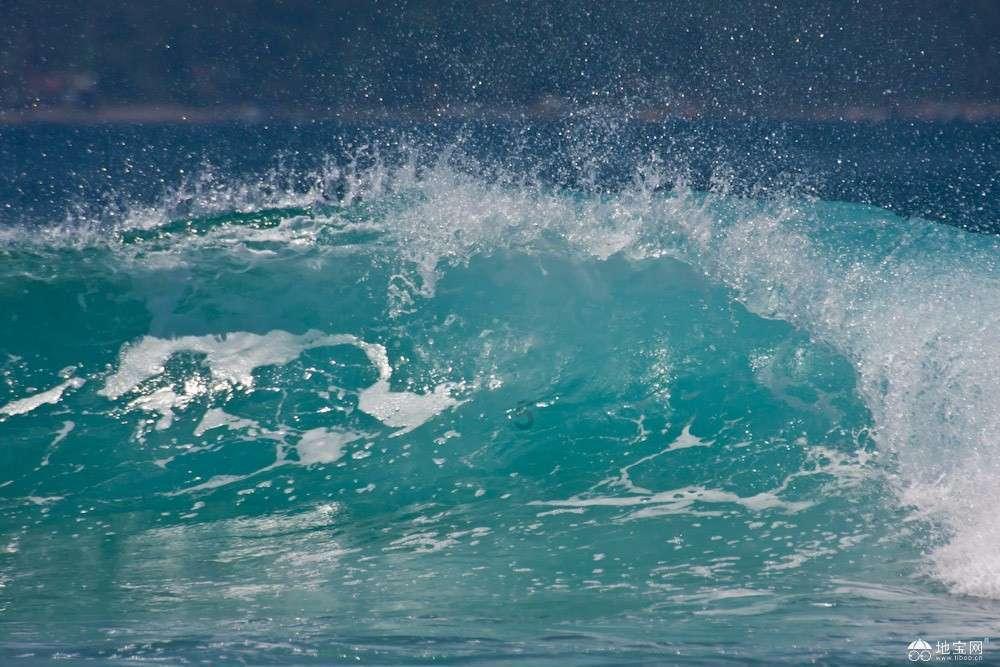 熊出没水果大陆2