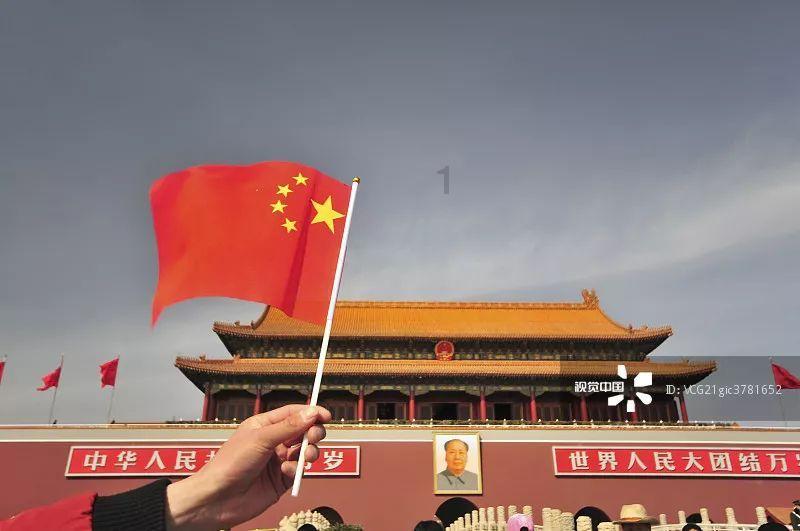 穿越遗弃的森林