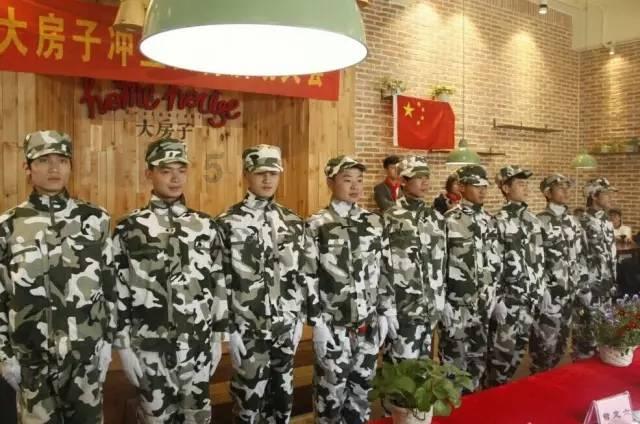彼得比尔特379拼图
