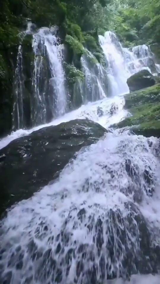 春雨直播app